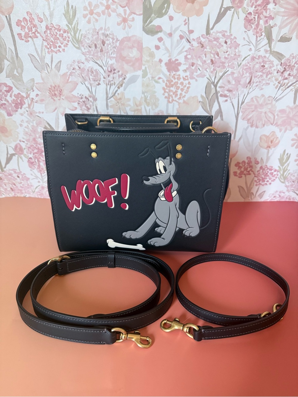Disney x Coach ©Disney Style No. CCX05 Pluto Rogue 25